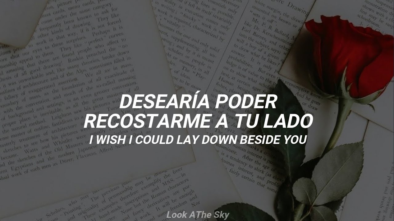Adele - Hiding my Heart (Traducida al Español + Lyrics)