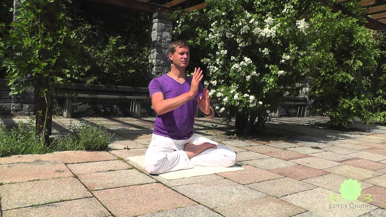 8 Brokate sitzend (Baduanjin), 8 brocades sitting | Lotus Qigong by Markus Ruppert