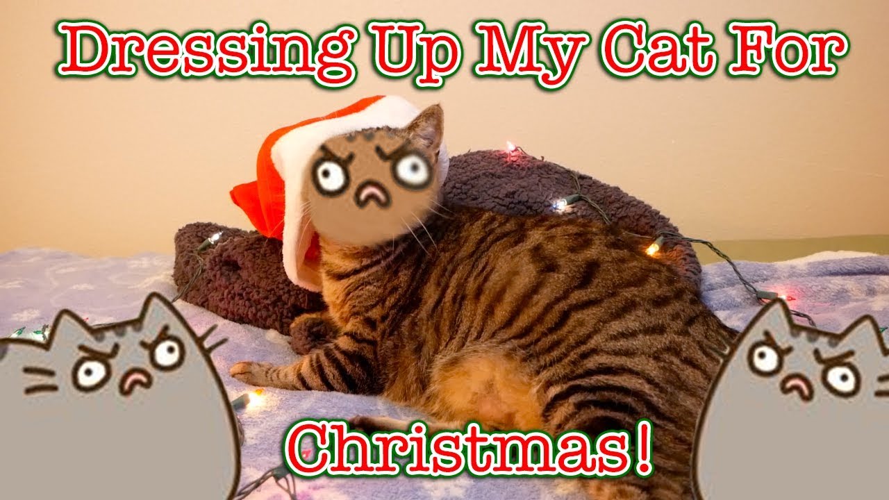 🎄 MERRY CHRISTMAS From TheCartoonKitty!! 🎄