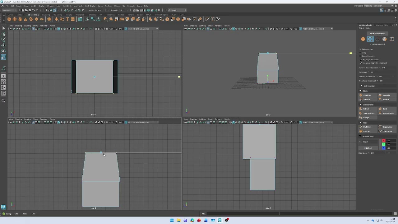 Modelling the houses