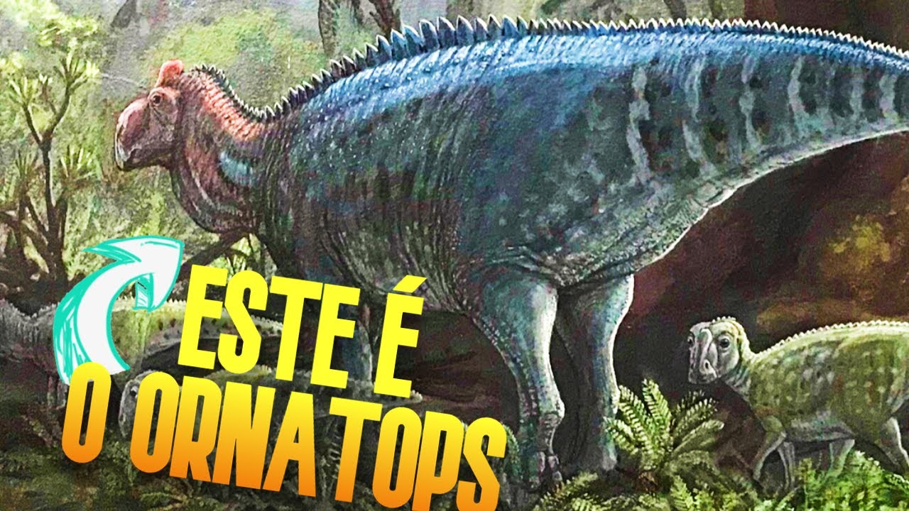 CONHE&Ccedil;A O ORNATOPS | O ENCANTADOR Rosto com ORNAMENTO