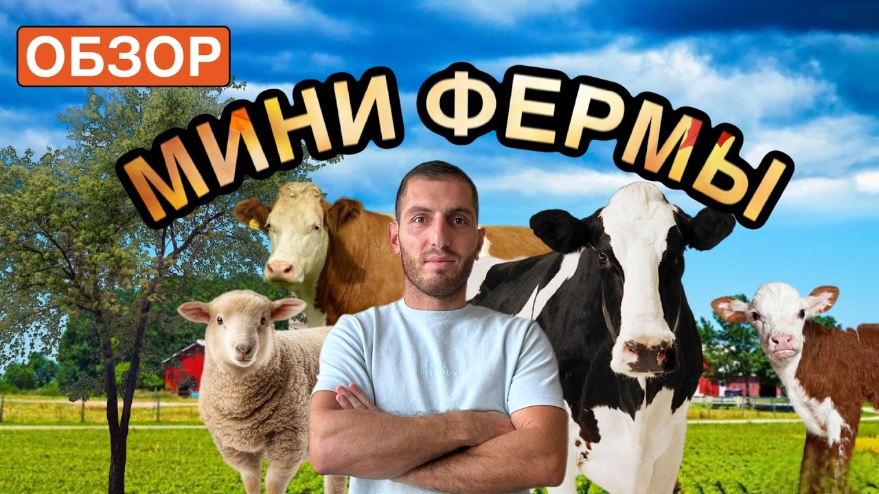 Построил мини-ферму мечты у себя во дворе | БЫКИ, КОРОВЫ, ЯГНЯТА – обзор хозяйства