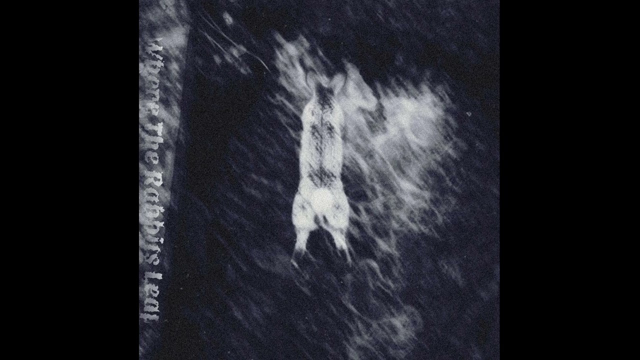 Where The Rabbits Leap (Demo)