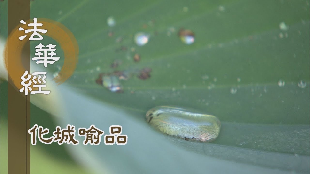 【靜思妙蓮華】法華經化城喻品 - 信根深固 願行受持 - 20220103 第1059集