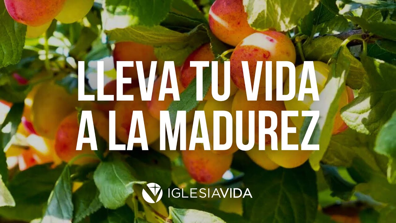 Lleva Tu Vida a La Madurez - Dr. Carlos Andrés Murr
