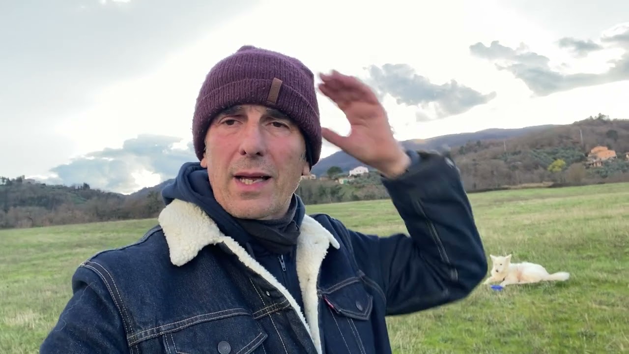Il tuo cane ti ringhia o ti mostra i denti in qualche situazione ?