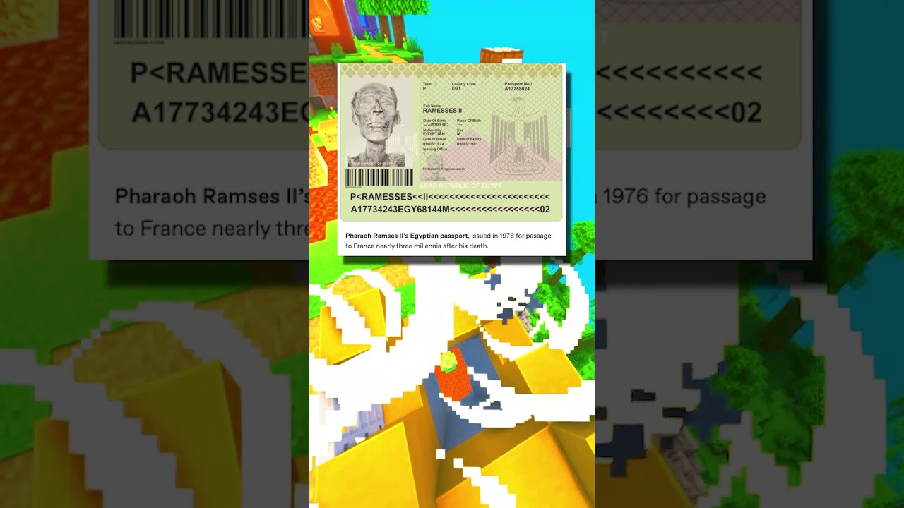 Mummy Passport!💀