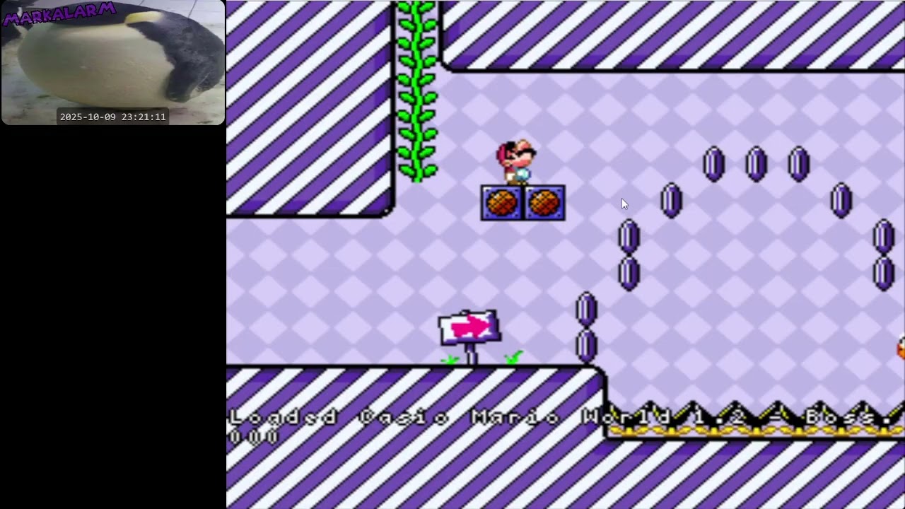 Kaizo 3 Bowser + Omega Fennel Back to Back