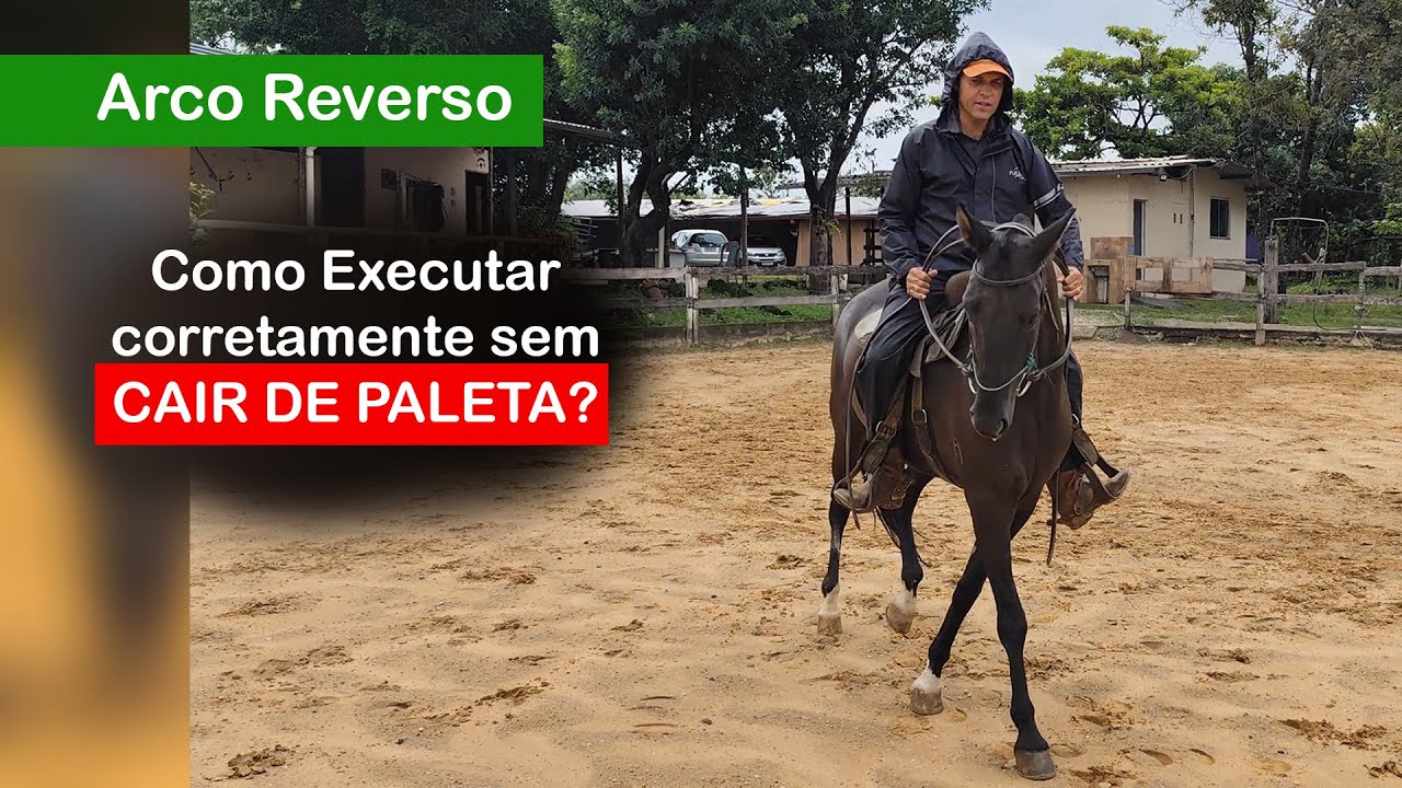 🔥🐎 Arco Reverso: o exercício que solta espáduas e corrige a paleta