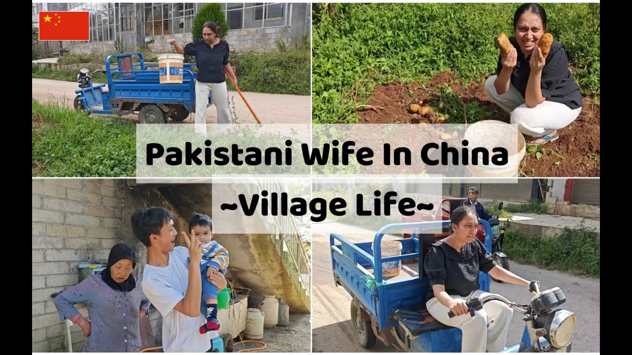 ✨ "Pakistani Wife’s Village Life in China | Harvesting & Cooking Organic Food 🍃🇵🇰🇨🇳"
