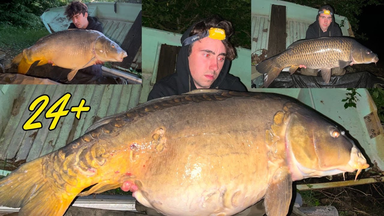 Grosse session en barrage après fraie ! - Pêche de la carpe