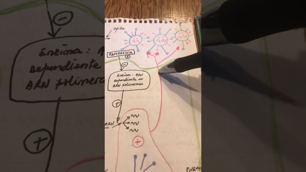 Mecanismo de acción de la enfermedad por coronavirus