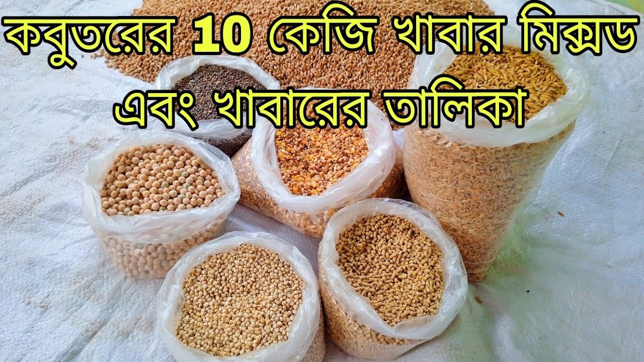 কবুতরের ১০ কেজি খাবার মিক্সড এবং খাবারের তালিকা। কবুতরের খাবার। kobutor history.