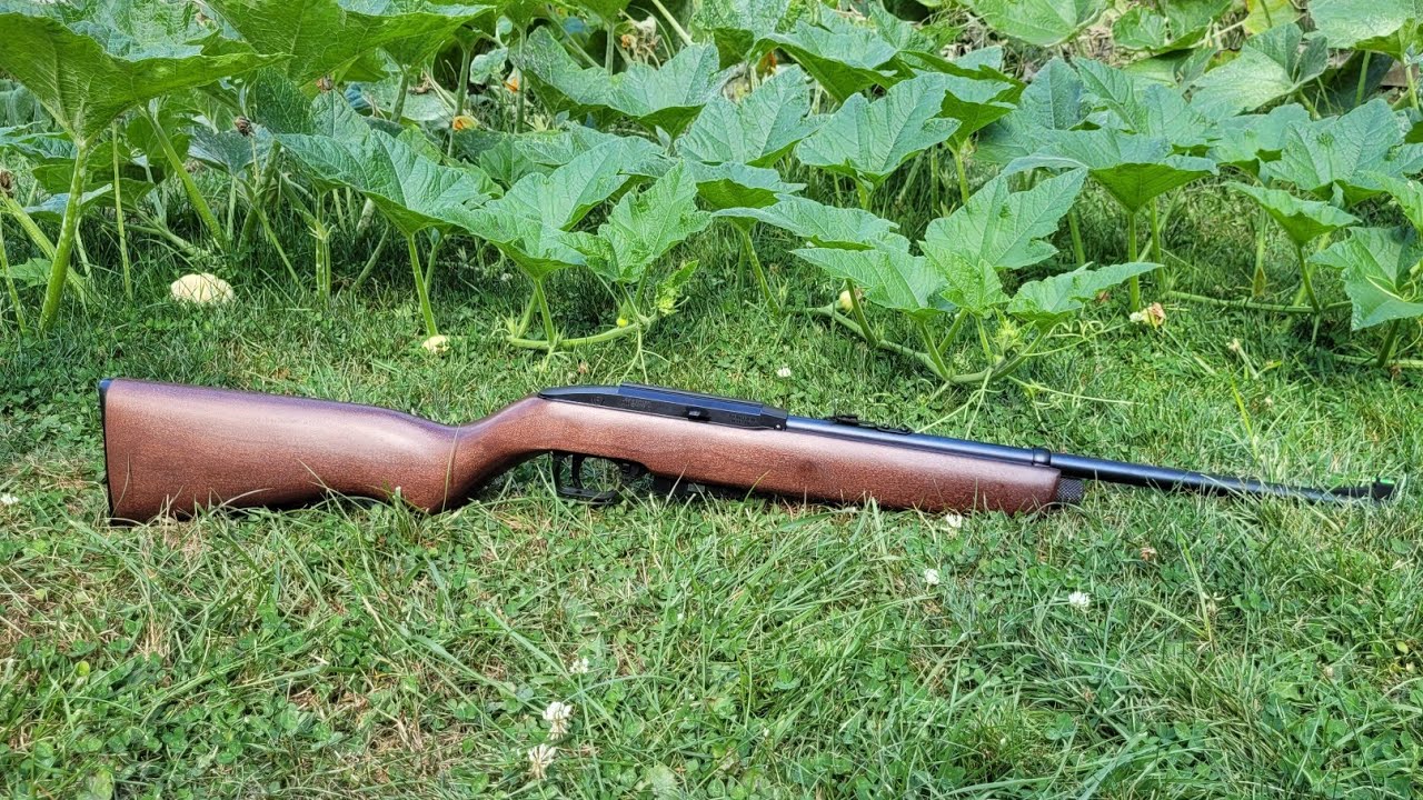 Crosman 1077 Wood - Velocity Testing 