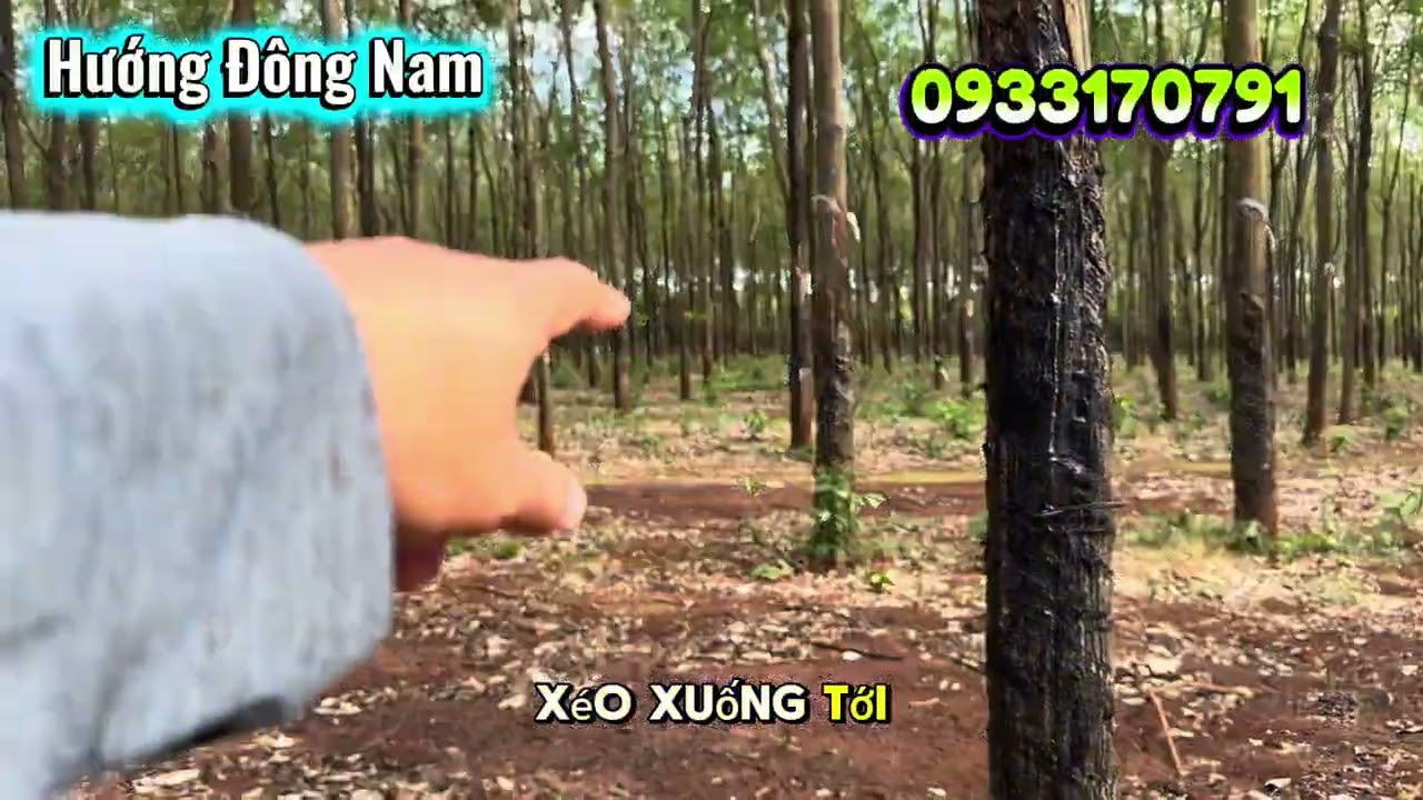 0933170791 #longnhong #batdongsanbinhphuoc  #batdongsanbinhduong #xuhuong #batdongsan