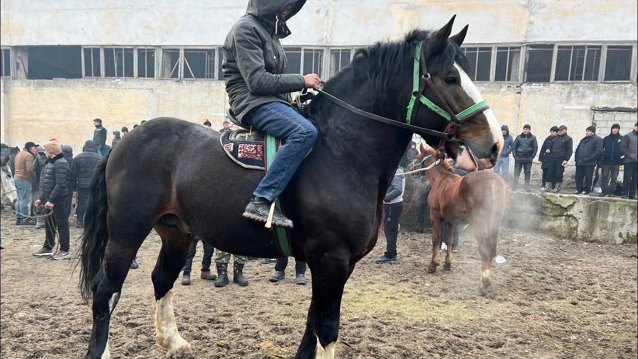 1МЛН ПРАСМОТР АСПБОЗОРИ ЛЕНИНСКИЙ РАЙОН 😱🚨НАРХО КИМАТ ШИД СРОЧНО 🚨15:01:2025