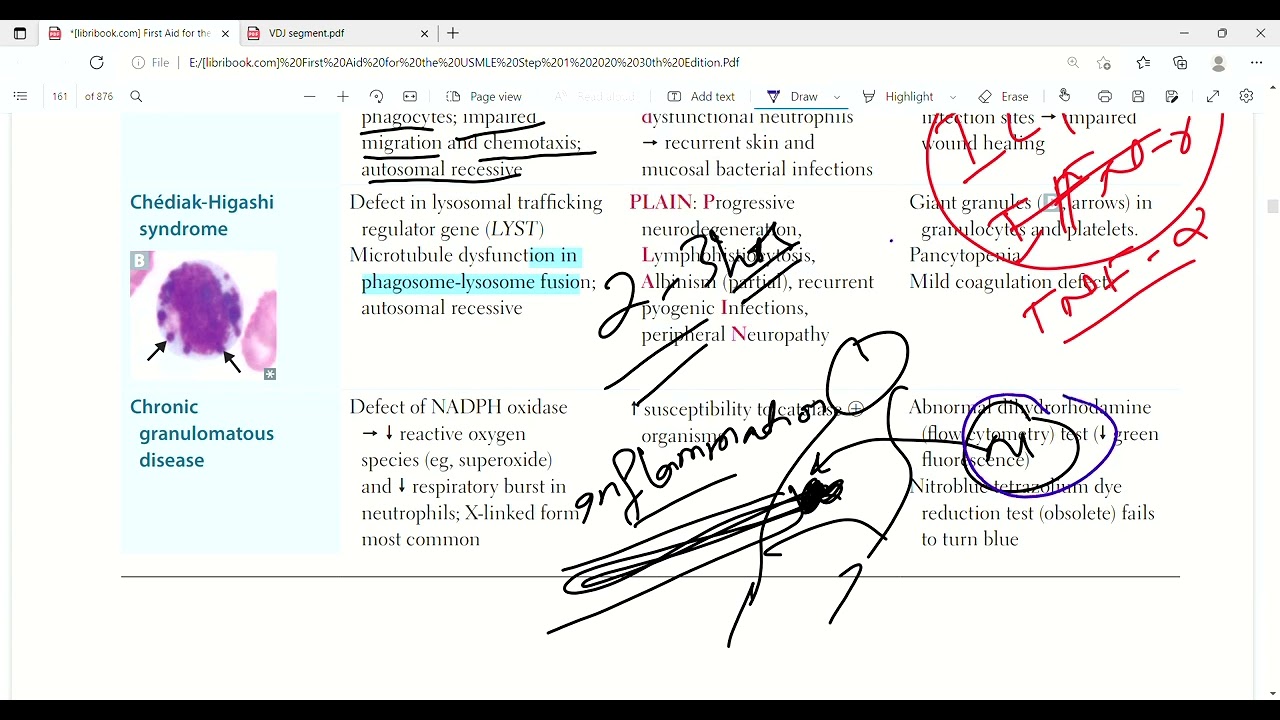 Иммунодефициты, часть 3 | Иммунология | Лекции по первой помощи | Лекция 29 #drjameellectures #dr...