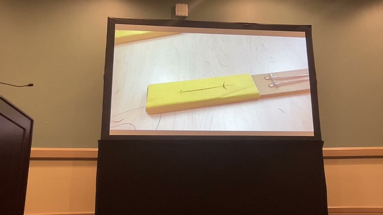 PRN pharmacal | Suture laboratory | dvm360 fetch Long Beach, California | Learn how to suture!