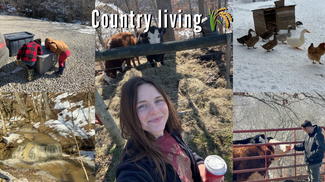 Big changes on the homestead | letting go, house hunting & finishing our home