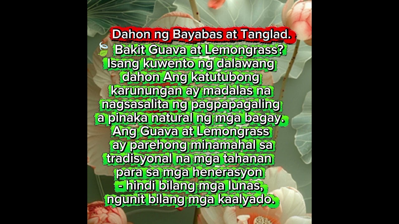 Madalas na ginawa💞
