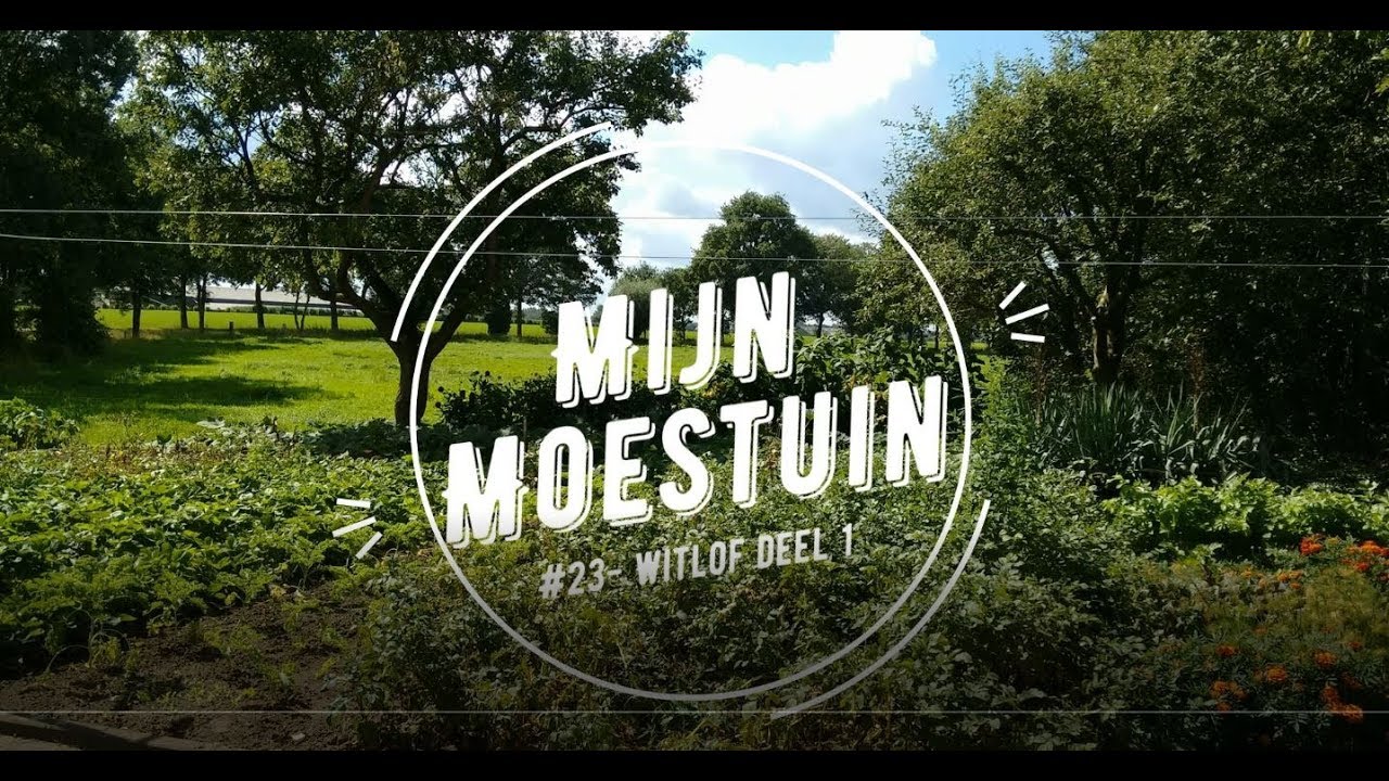 #23- Mijn moestuin, Wiltof deel 1