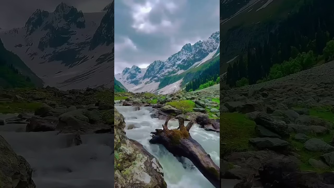 Jannate Kashmir🏔️🌲 