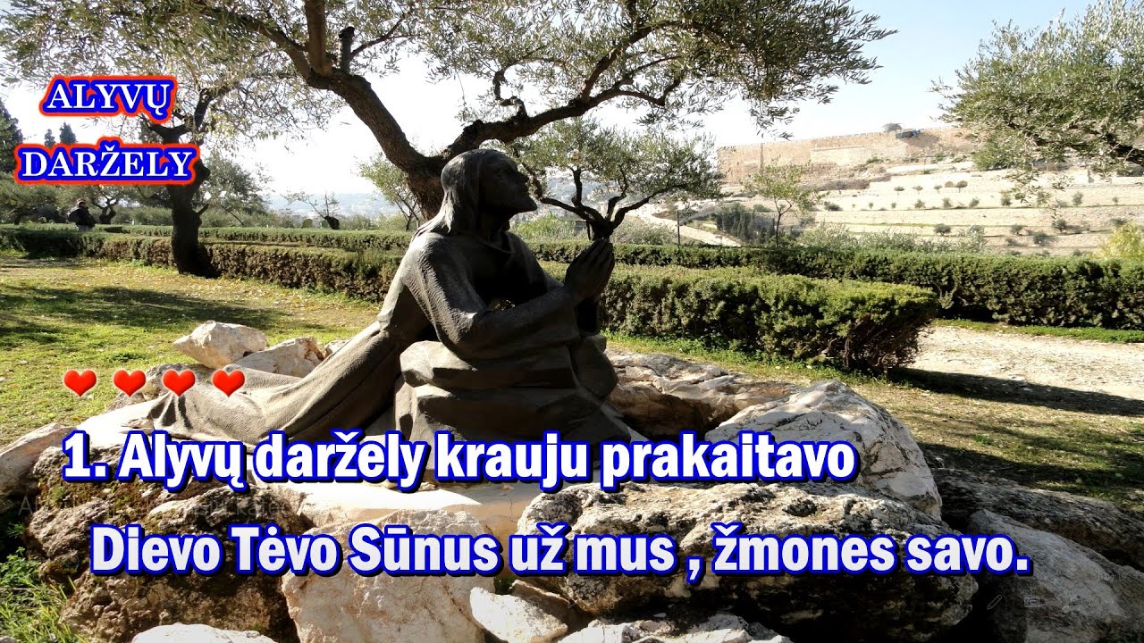 ALYVU DARZELY (su choru ir žodžiais)