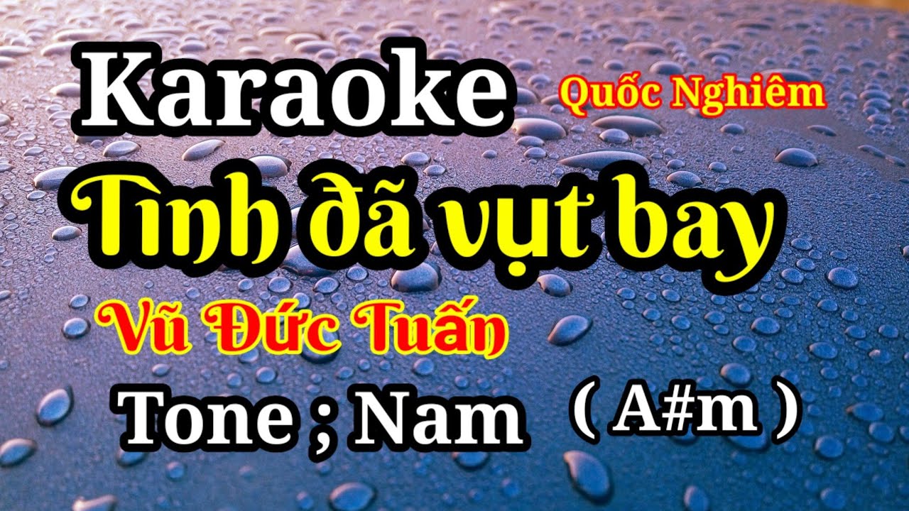 karaoke - Tình đã vụt bay - Tone ; Nam - st : Vũ Tuấn Đức