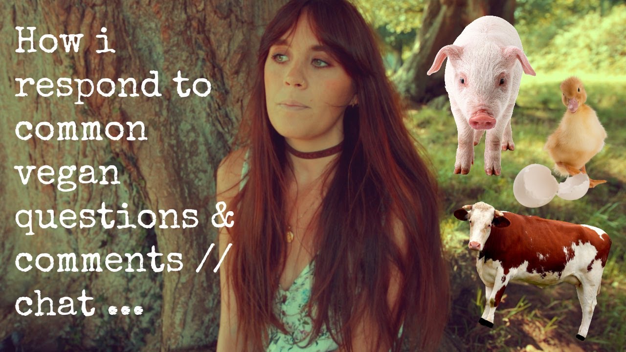 How I Respond To Common Vegan Questions & Comments // Chat
