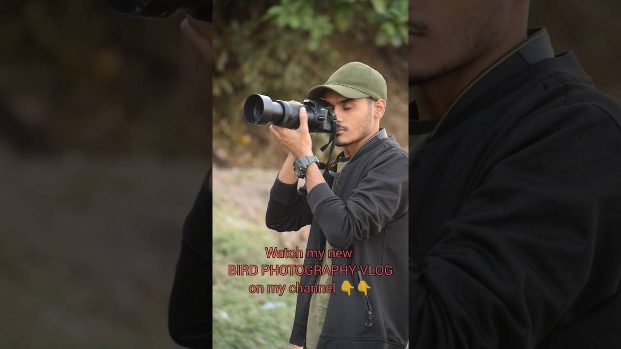 Bird Photography vlog Part 2 is out 👇 watch on my YouTube channel now ❤️❤️|| #birdphotography