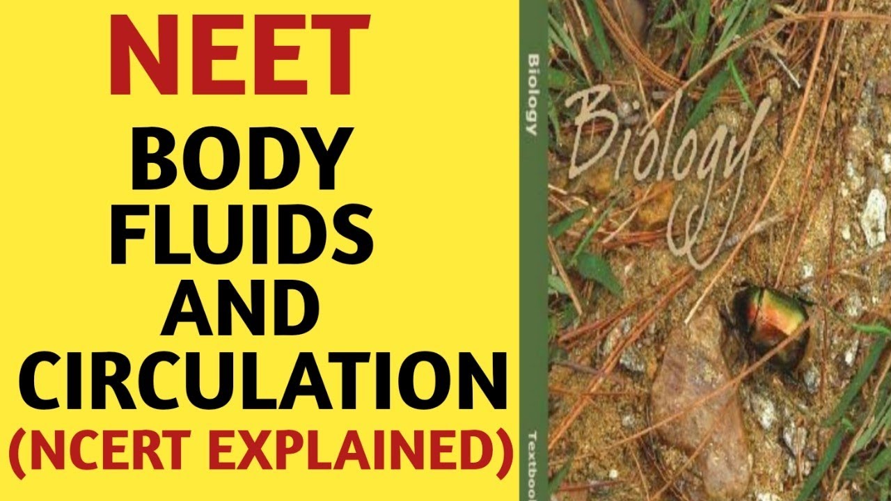 Body Fluids And Circulation /Class 11/NCERT/Chapter 18/Quick Revision Series/NEET/AIIMS/JIPMER/