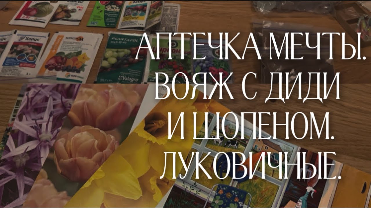 Идеальная аптечка собрана😍 Нашла Диди Бриджвотер, Шопен, Вояж. 2 пиона💛❤️. Луковичные Farmer Gracy