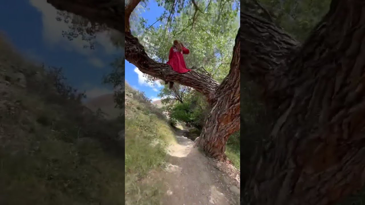 Wind Wolves Preserve