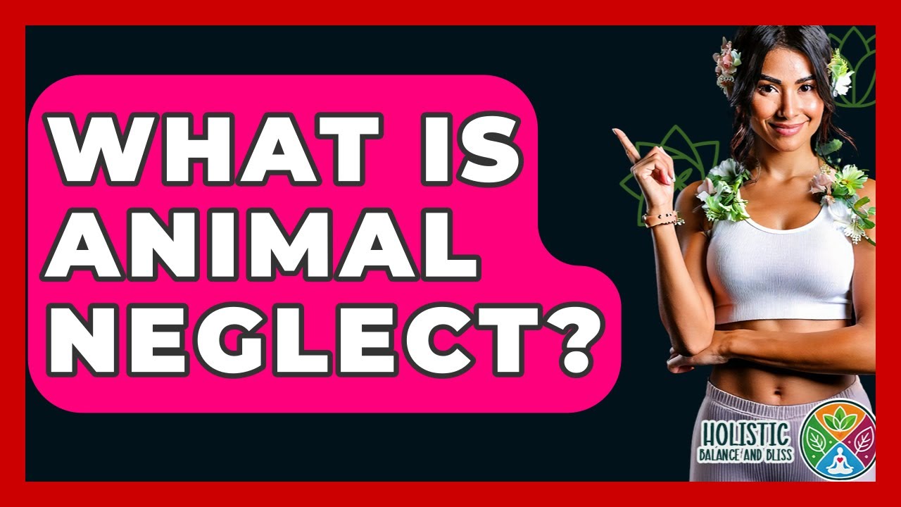 What Is Animal Neglect? - Holistic Balance And Bliss