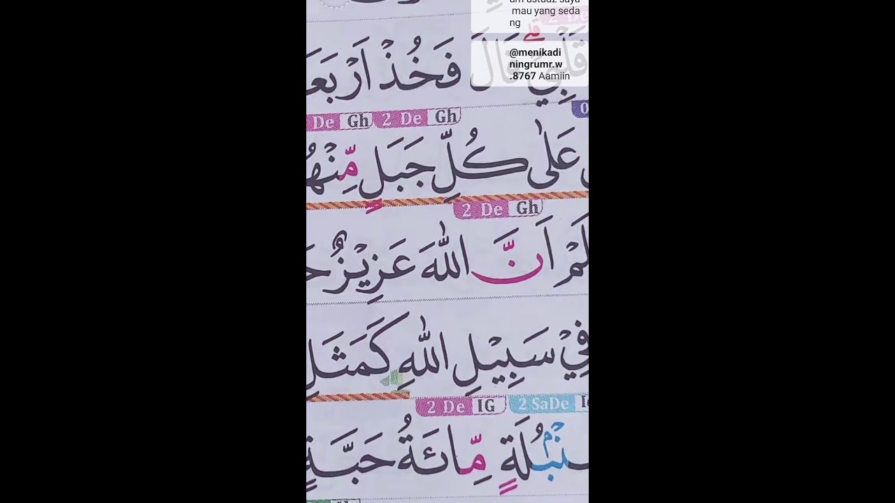 BACA ALQURAN LIVE 20.JANUARI.2026