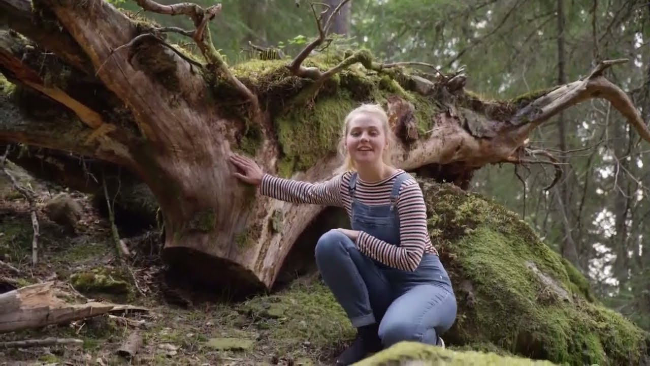 Film om ekosystem