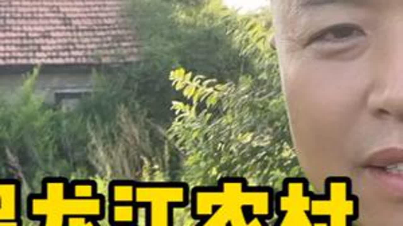 带大家看看黑龙江东南部的农村的现状 #我的乡村生活 #农村