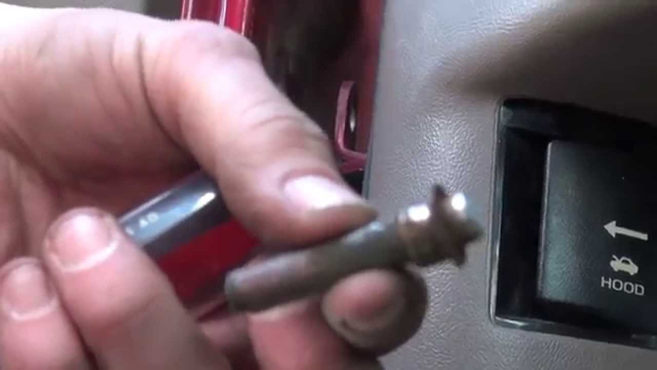 Replacing Door Hinge Pin