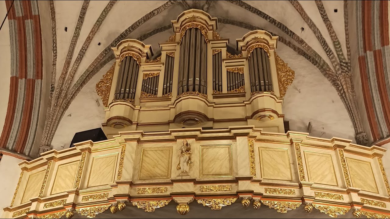 Arkadiusz Popławski - Koncert organowy | Fara Brodnica