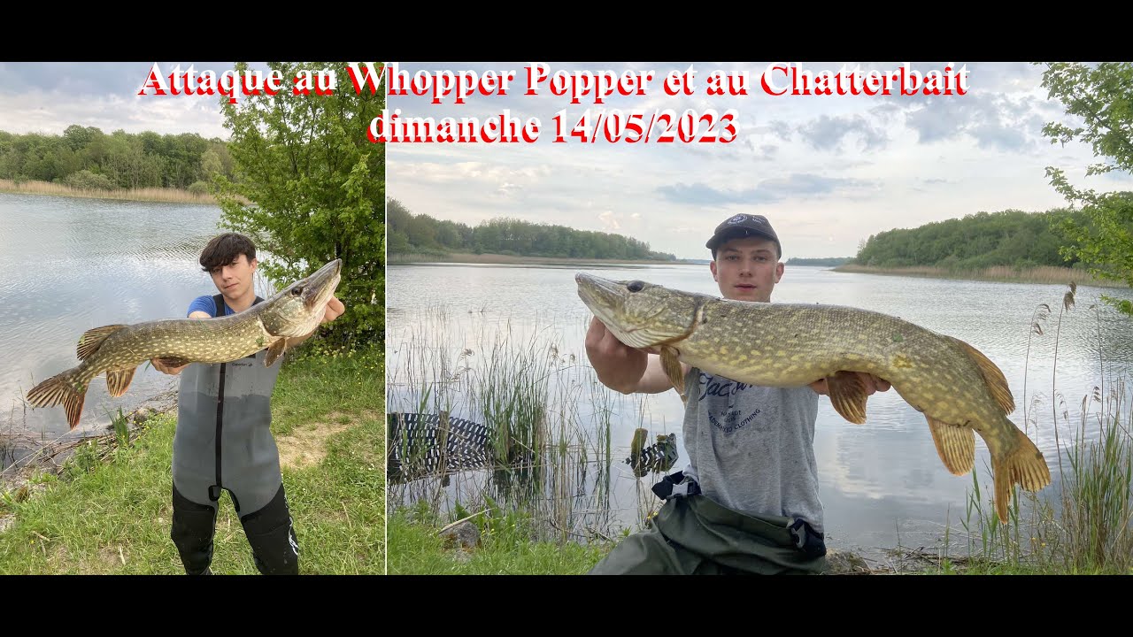 Pêche dimanche 14 mai 2023 Lac de Madine