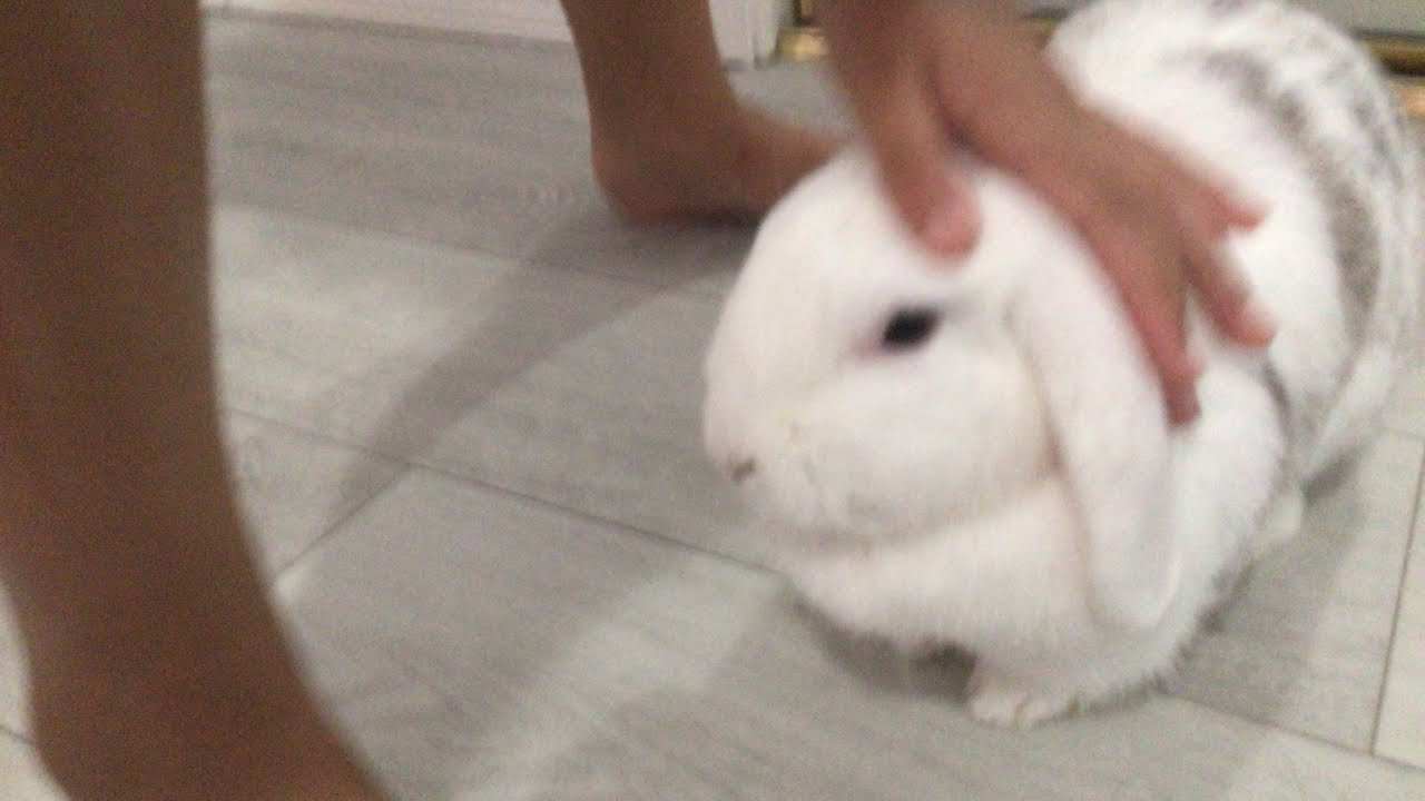 Новое видео!