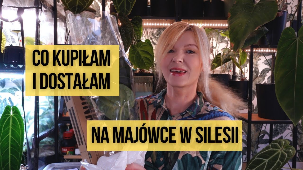 Co kupiłam i dostałam na majówce w Silesii? Przesadzam, czyszczę korzenie i dużo gadam ;)
