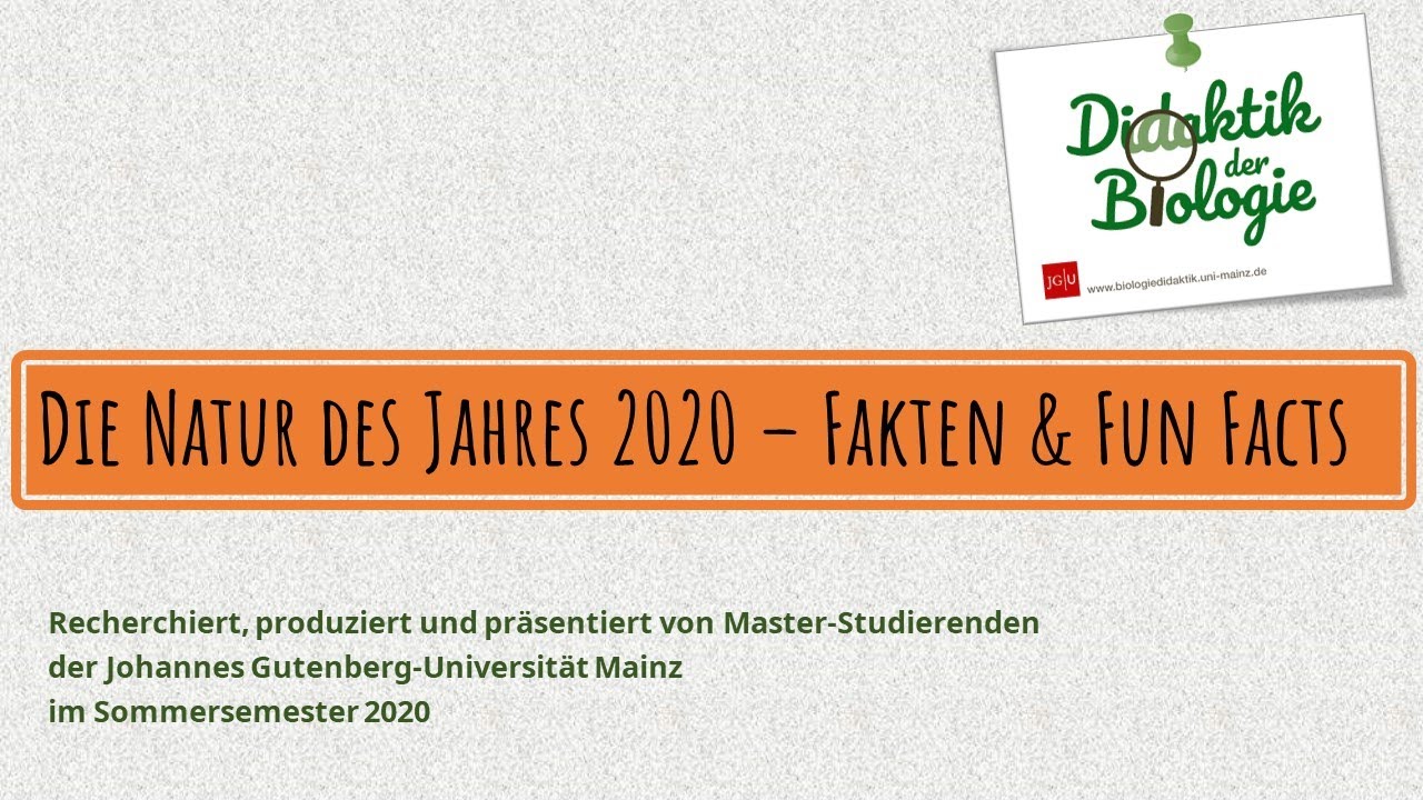 Wildtier des Jahres 2020 - Ein Erklärvideo (nicht nur) für Schüler*innen