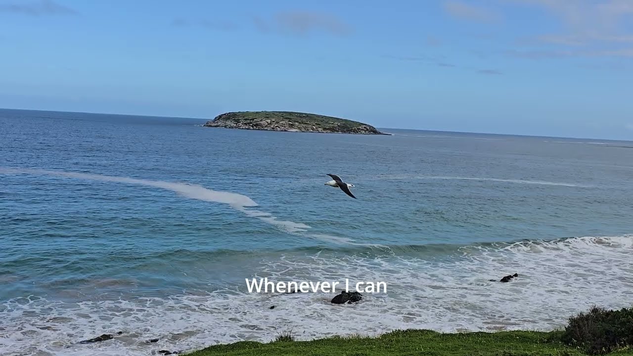 Wherever I am