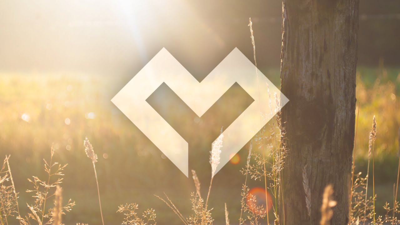 [LYRICS] Hyraxe - Towards The Sun (ft. Tevlo)