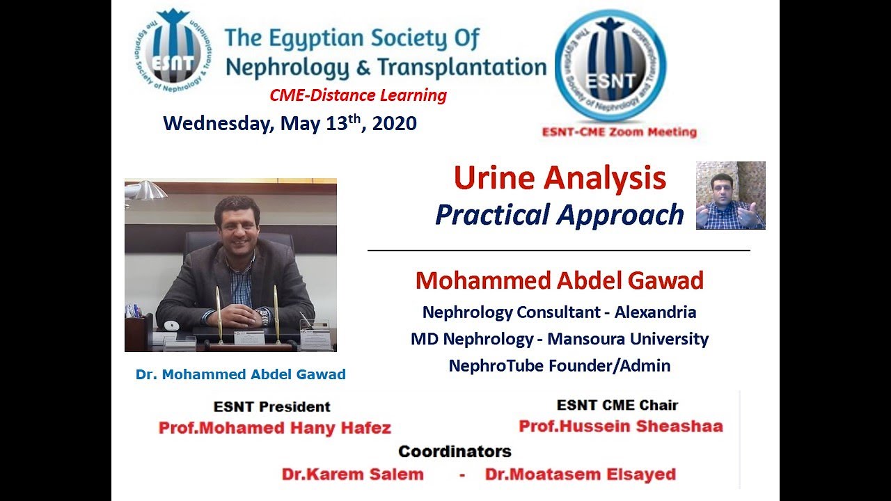 Urine Analysis  A practical Approach (Arabic and English)  Dr  Mohammed Abdel Gawad, 13 May 2020