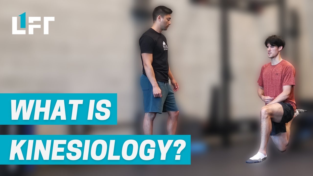 What is Kinesiology? Overcome Injury, Move Better, and Become Stronger with Vancouver Kinesiologists