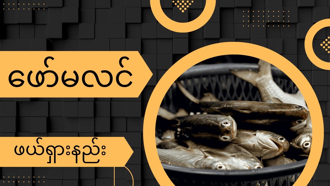 မချက်ပြုတ်မီ ဖော်မလင်ဖယ်ရှားနည်း