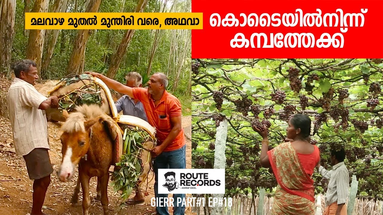 കൊടൈ മുതൽ കന്പം വരെ │ Kodaikanal to Cumbum - Theni │GIERR - Great India ExpeditionPart#1 Ep#18
