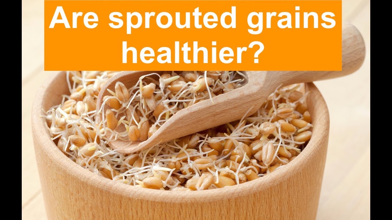 Полезнее ли пророщенные зерна?